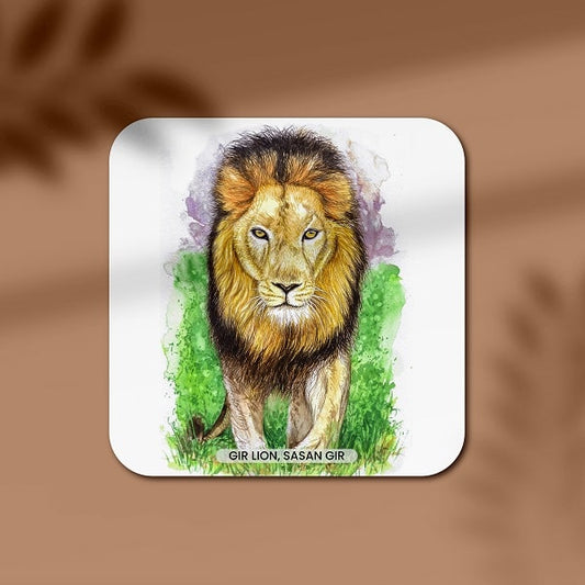 The King of Gir - Asiatic Lion Coaster