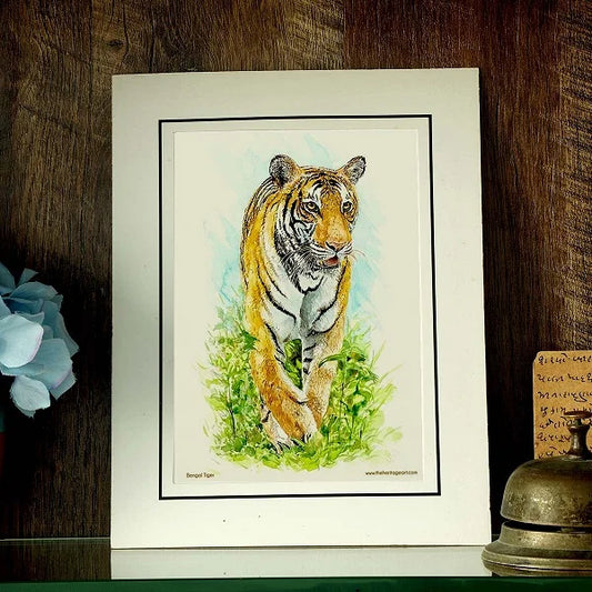 The Royal Bengal Tiger Art Print